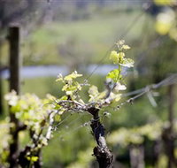 Booth's Taminick Cellars - Tourism TAS