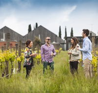 Willow Creek Vineyard - Tourism TAS