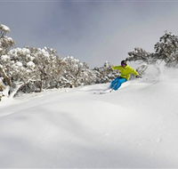 Mt Buller and Mt Stirling Alpine Resort - Hobart Tourism