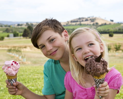 Yarra Valley Chocolaterie & Ice Creamery - Tourism TAS 6