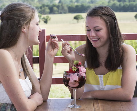Yarra Valley Chocolaterie & Ice Creamery - Tourism TAS 8