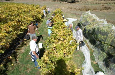 Deans Marsh VIC Hobart Tourism