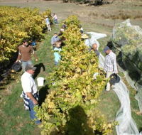 Blakes Estate Winery - Hobart Tourism