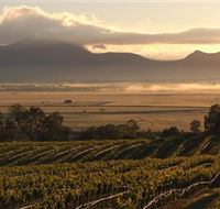 Montara Wines - Hobart Tourism