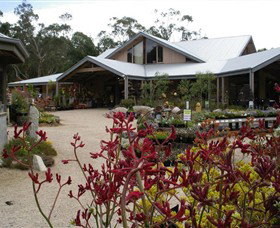Kuranga Native Nursery And Paperbark Cafe - Tourism TAS 0