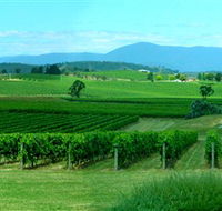 Acacia Ridge Vineyard - Tourism TAS
