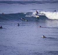 Point Addis Marine National Park - Hobart Tourism