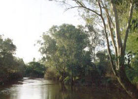 Banksia Park - Hobart Tourism 0
