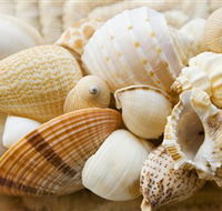 Anglesea Beach Club - Hobart Tourism
