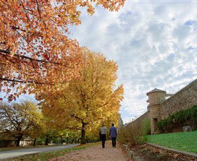 Beechworth Historic And Cultural Precinct - Hobart Tourism 0
