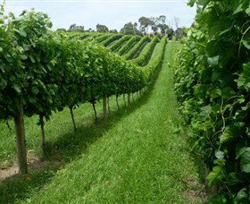 The Cups Estate - Tourism TAS 0