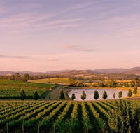 Oakridge Wines - Tourism TAS