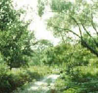 Holey Plains State Park - Tourism TAS