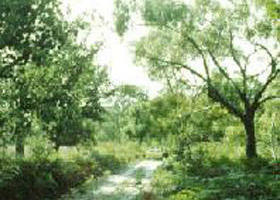 Holey Plains State Park - Hobart Tourism 0