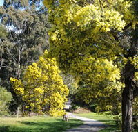 Wattle Park - Tourism TAS