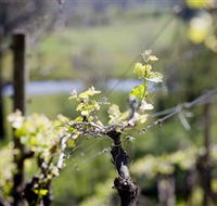 Eldridge Estate of Red Hill - Tourism TAS