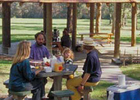 Warburton East VIC Tourism TAS