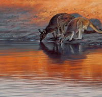 Steve Morvell Wildlife Art - Hobart Tourism