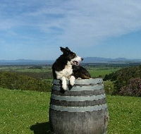 Windy Ridge Vineyard and Winery - Tourism TAS