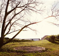 Scotchmans Hill - Tourism TAS