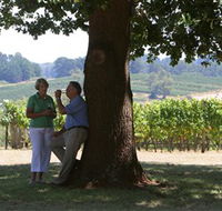Five Oaks Vineyard - Hobart Tourism