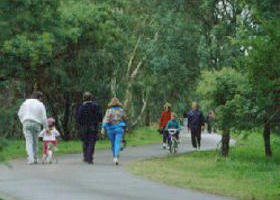 Birrarrung Park - Hobart Tourism 0