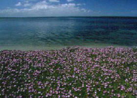 Gippsland VIC Tourism TAS