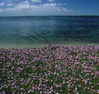 The Lakes National Park - Tourism TAS