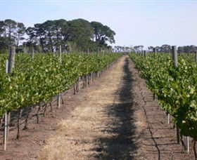 Mount Beckworth Wines - Tourism TAS 0