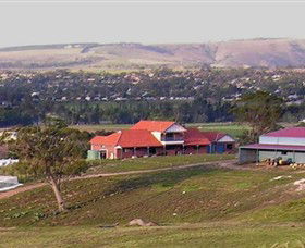 Bacchus Hill Winery - Tourism TAS 0