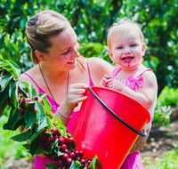 Cherryhill Orchards - Hobart Tourism