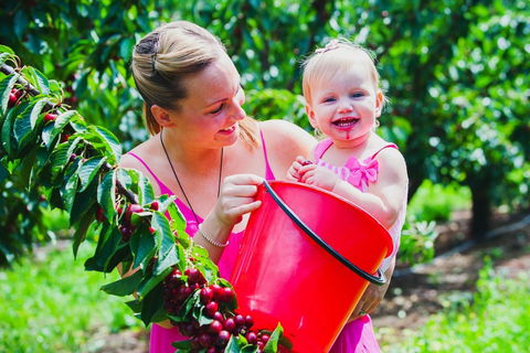 Cherryhill Orchards - Hobart Tourism 0