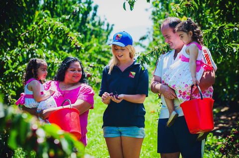 Cherryhill Orchards - Hobart Tourism 1