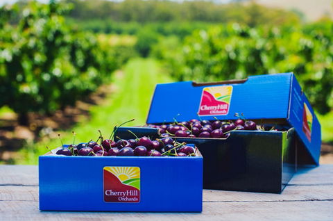 Cherryhill Orchards - Hobart Tourism 3