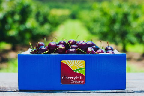 Cherryhill Orchards - Hobart Tourism 8