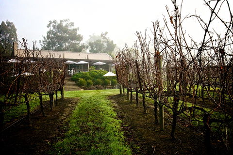 GREENSTONE VINEYARDS - Tourism TAS 4