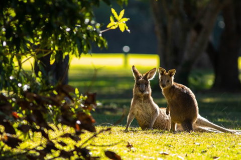 Club Catalina - Tourism TAS 2