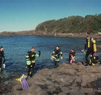 Bushrangers Bay Aquatic Reserve - Hobart Tourism