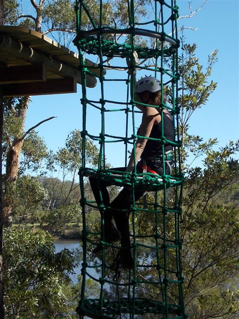 Trees Adventure Shoalhaven - Hobart Tourism 0