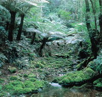 Deua National Park - Hobart Tourism