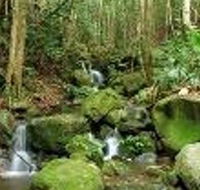 Budderoo National Park - Tourism TAS