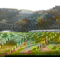 Tilba Valley Wines - Tourism TAS