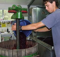 Fern Gully Winery - Hobart Tourism