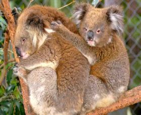  Hobart Tourism