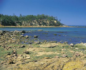 Aslings Beach - Tourism TAS 0