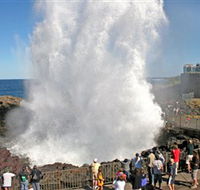 Kiama Blowhole - Tourism TAS