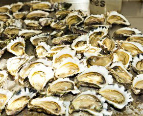 Wheelers Oysters - Hobart Tourism 0
