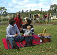 Blackbutt Forest Reserve - Hobart Tourism