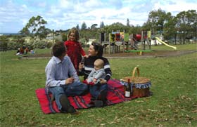 Blackbutt Forest Reserve - Hobart Tourism 0