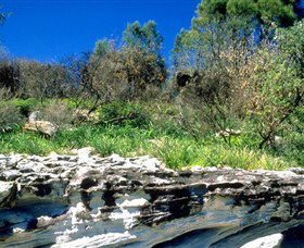 Abrahams Bosom Reserve - Hobart Tourism 0